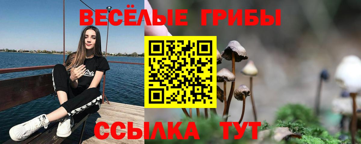 Псилоцибиновые грибы Psilocybe Омск
